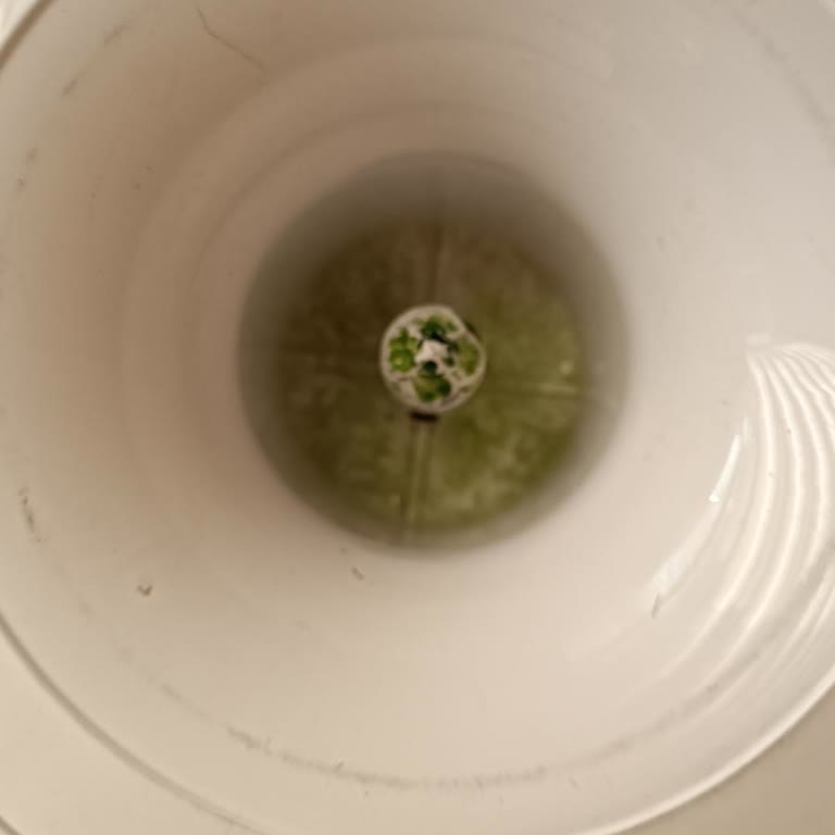 Kuvars Su Yosunlu, Koku Yapıyor Ve İçinde Karbonat Tarzı Şeyler Var