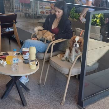 Greenwich Coffee Hayvan Ayrımı YAPMAYIN&HİJYEN