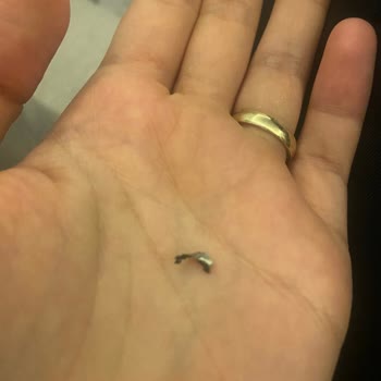 Patuli Fırın (Pendik) Patuli Baklavadan Metal