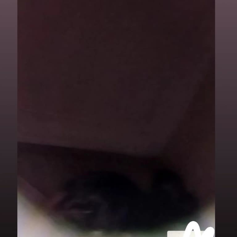 Xiaomi Not 13 Kamera Sorunu