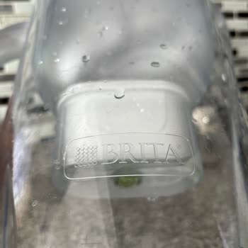 Brita Sürahi Yosun Tuttu Ve Temizlenemiyor