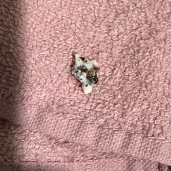 Tek Süt Markası Pişmanlıktır