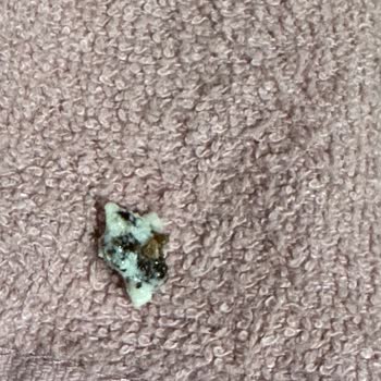 Tek Süt Markası Pişmanlıktır