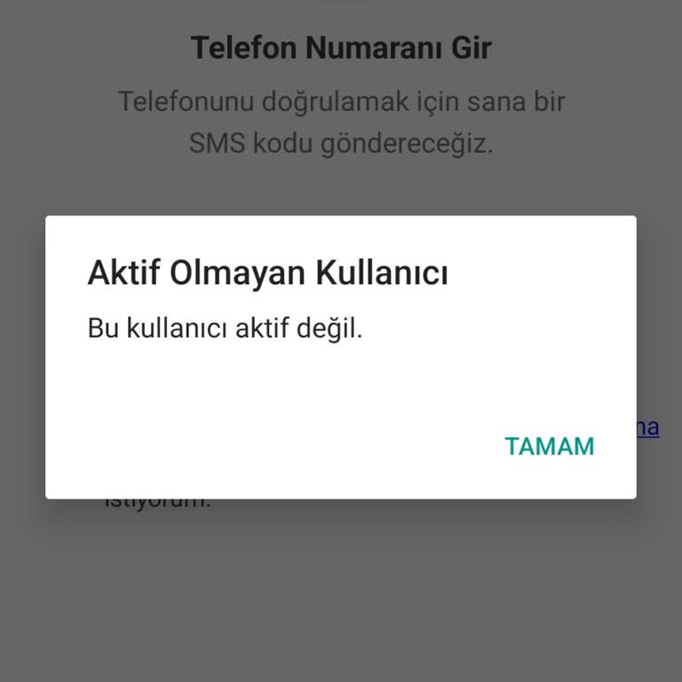 Martı Hesabına Giriş Sağlayamıyorum