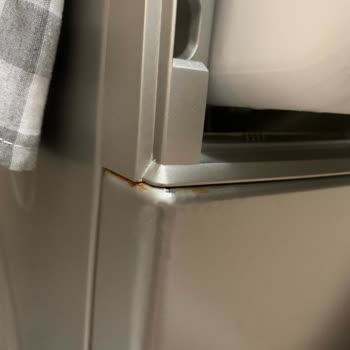 Bosch Termoteknoloji Bosch Çamaşır Makinemin Bitmek Bilmeyen Sorunları!