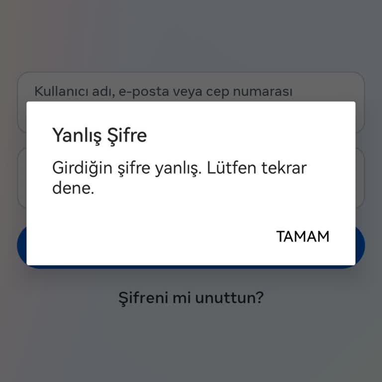 Instagram'a Giremiyorum Yanlış Şifre Diyor