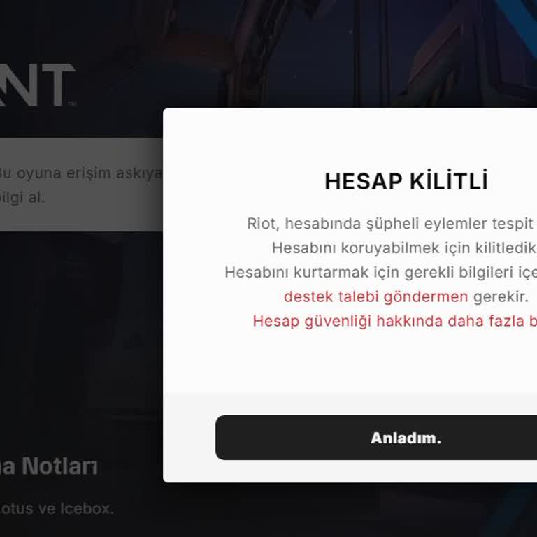 Valorant Hesabıma Alenen El Koydu