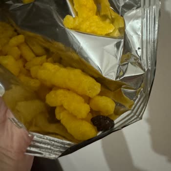 Çerezza Fare Dışkısı Çıktı