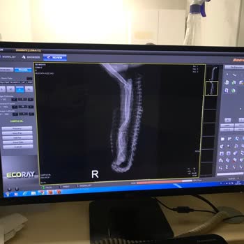 İstanbul Üniversitesi Veterinerlik Fakültesi Şikayetçiyim