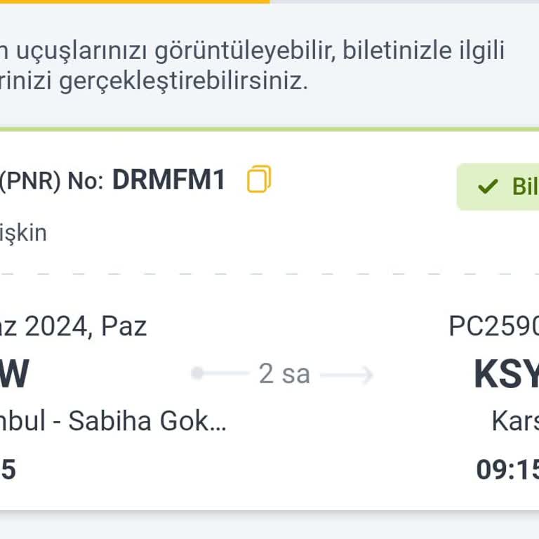 Pegasus Hava Alanında Yaşadığımız Mağduriyet Hk.