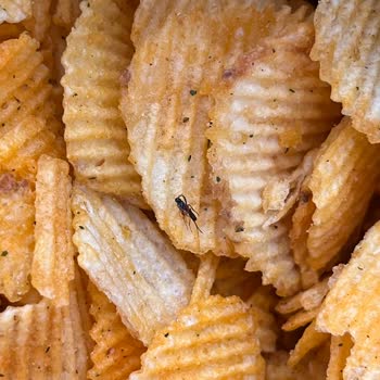 BİM Cipsin İçinden Böcek Çıktı