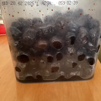 Tukaş Doğal Yağlı Sele Siyah Zeytin Ürünü Metalik Tat.