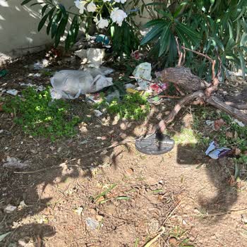 Bornova Belediyesi İnatla Toplanmayan Çöpler
