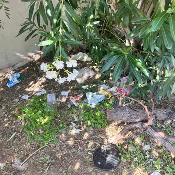 Bornova Belediyesi İnatla Toplanmayan Çöpler