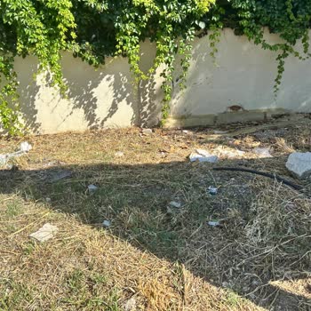 Bornova Belediyesi İnatla Toplanmayan Çöpler