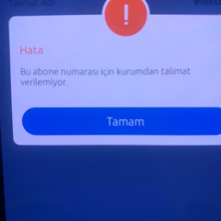 CK Boğaziçi Elektrik Ck Elektrik Otomatik Ödeme Talimatı Sorunu