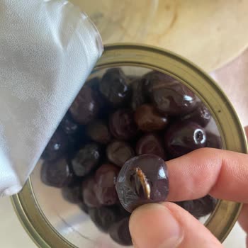 MarmaraBirlik Zeytinden Kurt Çıktı