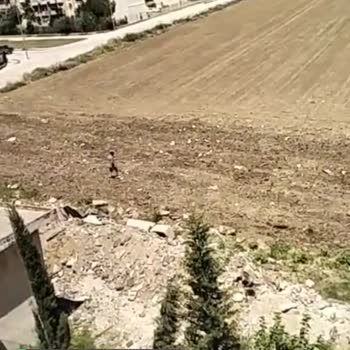 Adana Büyükşehir Belediyesi Şehrin Göbeğinde Yaşanan Sıkıntı!