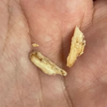 Beşler Kavurma 150 G