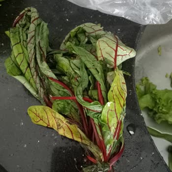 Özpaş Süper Market Çürük Ürün Gönderimi