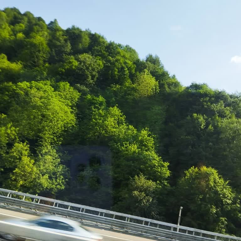 Kapadokya Vip Turizm İle Hayal Kırıklığı: Hasta Ve Yaşlı Yolculara Zorlu Yolculuk