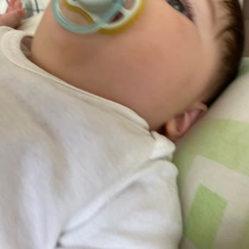 Mustela Ve Egzama Sorunu