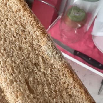 Getir Tarihi Geçmiş Ve Küflü Ekmek