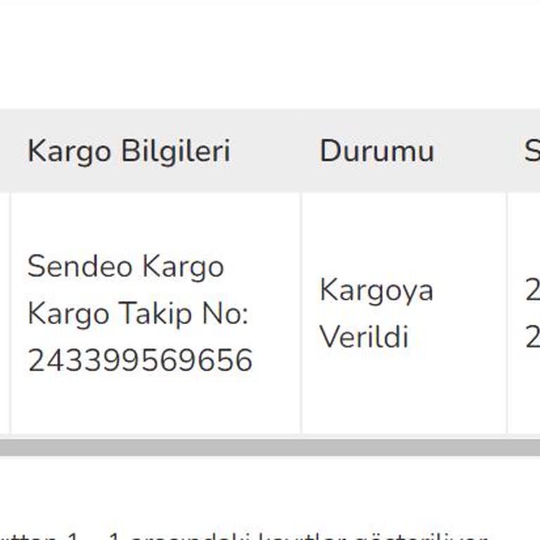 Petpal Kargo Elime Ulaşmadı.