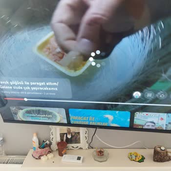 Türk Telekom İnternetim Çekmiyor Garantili Ürün Arıza Ya Gelmiyorlar
