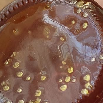 Atatürk Orman Çiftliği Ankara Balında Küf Sorunu