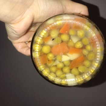 A101 Çokça Markalı Garnitürden Sinek Çıktı