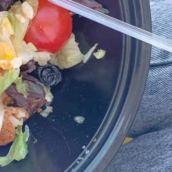 Tavuk Dünyası Kavacık Salata Siparişi