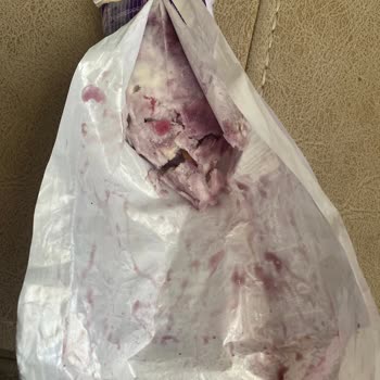 Algida Twister Dondurma Hatası