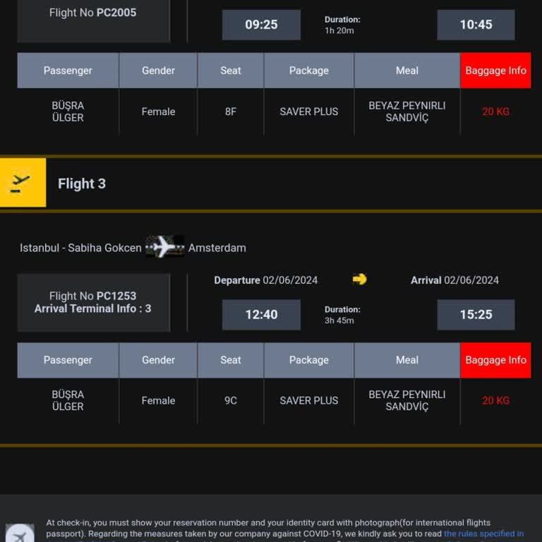 Pegasus Aktarmalı Uçuşta Bagaj Kaybı