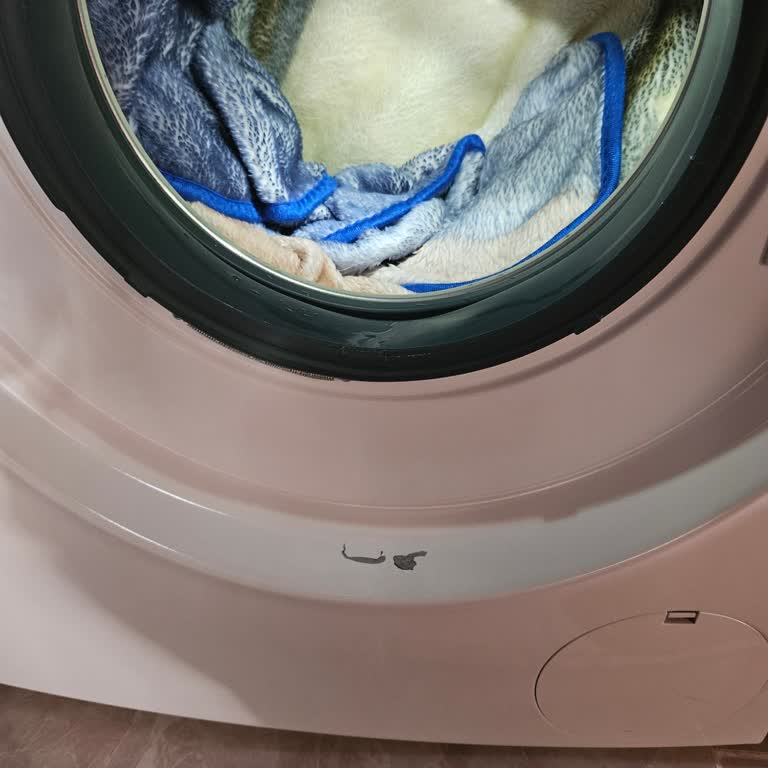 Siemens Çamaşır Makinesinde Boya Sorunu Ve Garanti Problemi