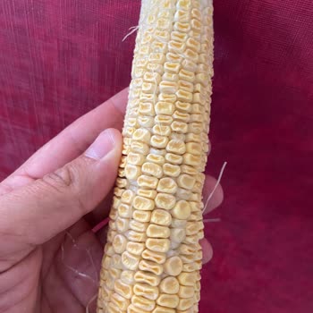 Migros Her Seferinde Hayal Kırıklığı