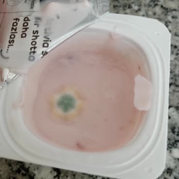 Danone Tikveşli Küflü Ürün Hk