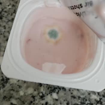 Danone Tikveşli Küflü Ürün Hk