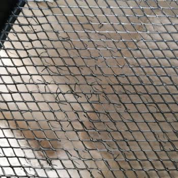 PHILIPS Ev Aletleri Philips Ürün Hatası