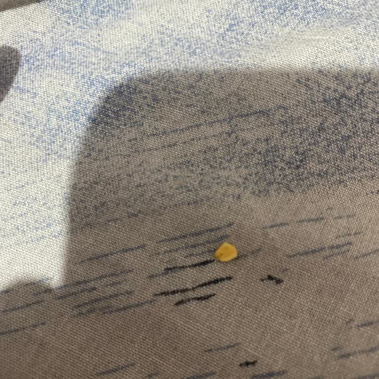 İşler Baklava Tatlıdan Kabuk Çıktı