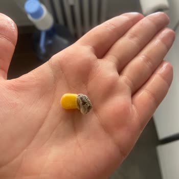 Superfresh Dondurulmuş Mısırdan Çıkan Anlamsız Şey