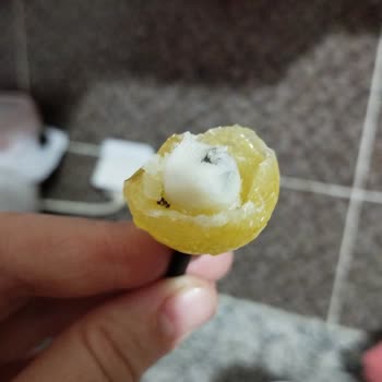 Rocco Lollipop Da Karınca Çıktı!