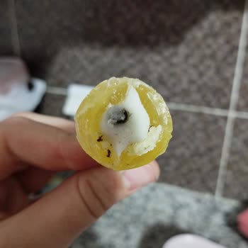 Rocco Lollipop Da Karınca Çıktı!