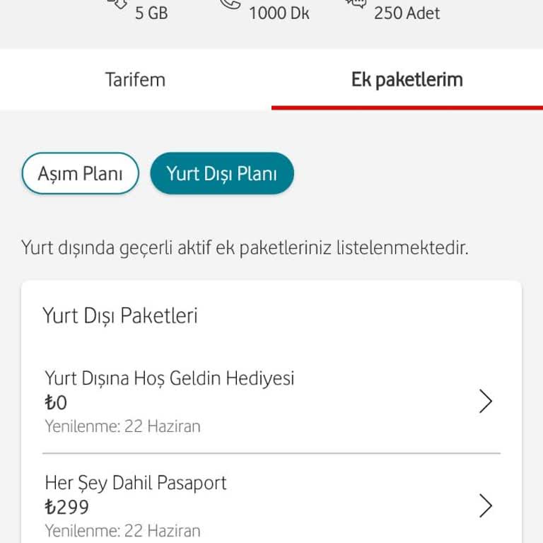 Vodafone Her Şey Dahil Yurt Dışı Pasaport Servis Kapatılmaması