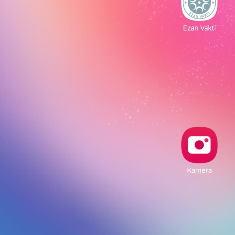 Merkez Bankası Skype Üzerinden Yatırım Vaadiyle Mağduriyet Yaşadım