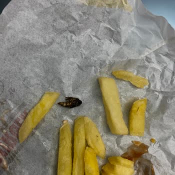 Burger King Siparişte Yanmış Arı Çıktı