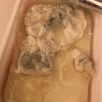 Bahçıvan Marka Küflenmiş Peynir!