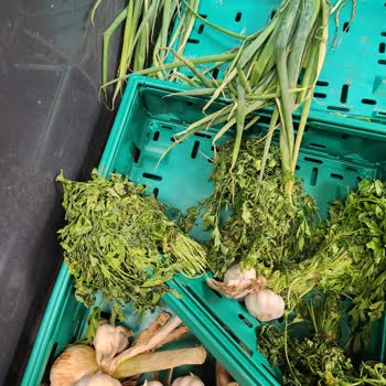 Migros Konya Selçuklu'da Yeni Açılan Marketin İncelemesi