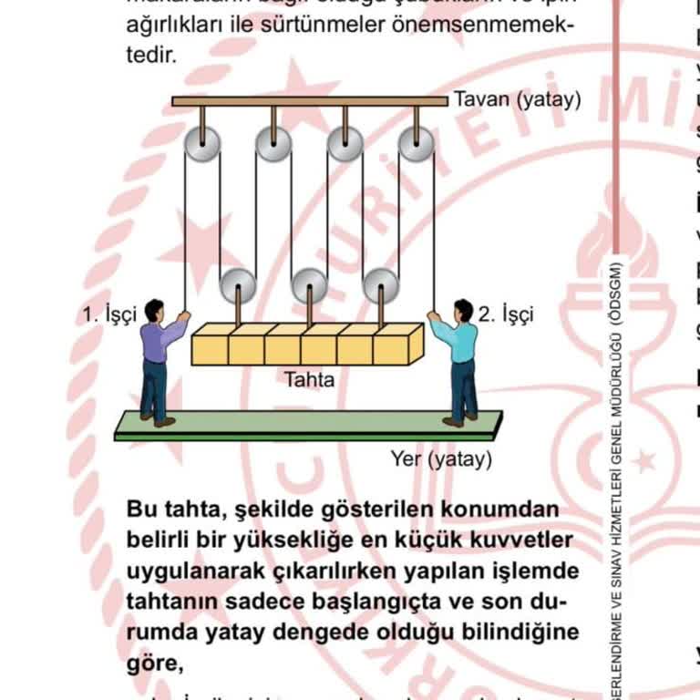 Milli Eğitim Bakanlığı (MEB) LGS 2024 Fen Bilimleri 13 Soru