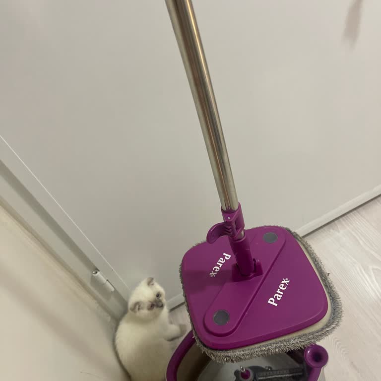 Parex Wondero Yedek Parçası Yok Kullanamıyorum